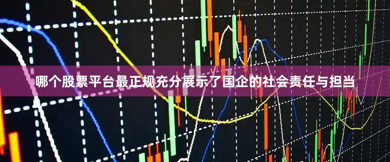 哪个股票平台最正规充分展示了国企的社会责任与担当