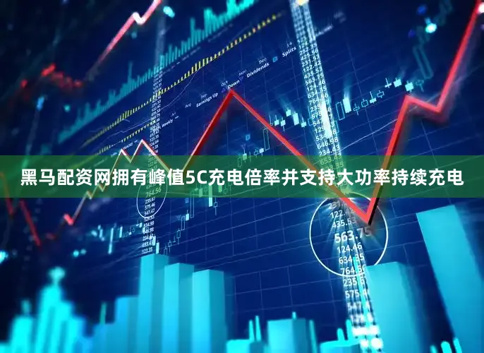 黑马配资网拥有峰值5C充电倍率并支持大功率持续充电