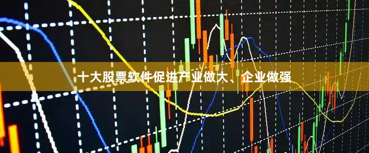 十大股票软件促进产业做大、企业做强